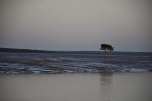 Roper river NT